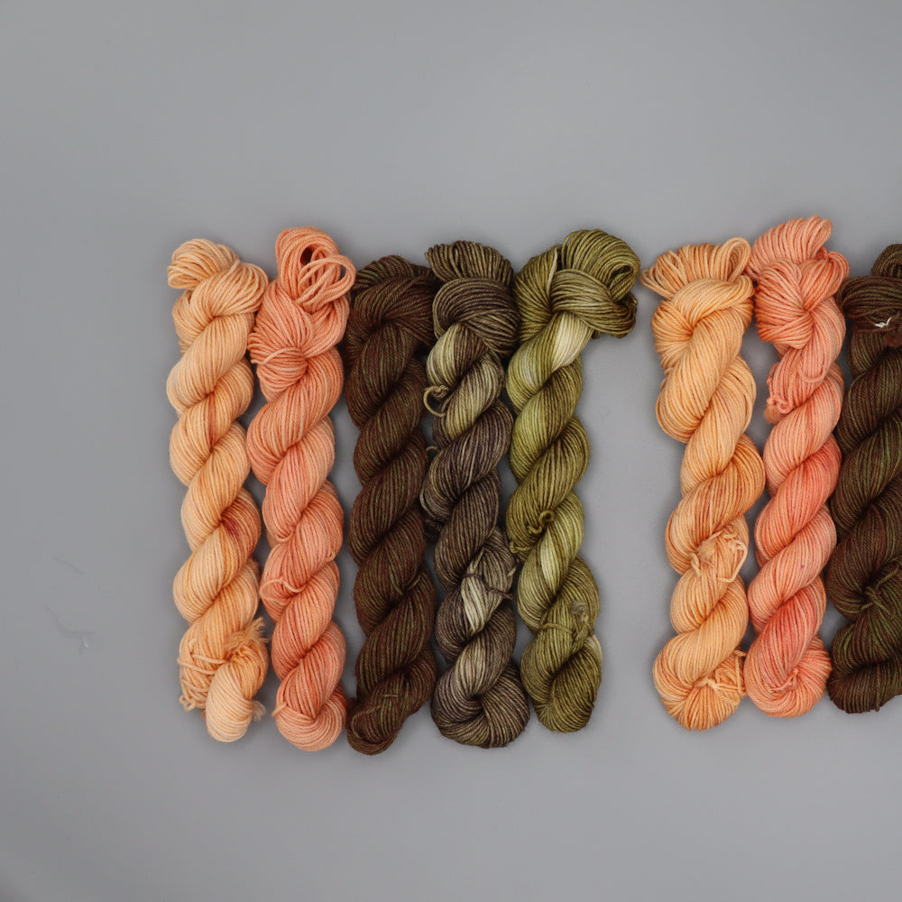 Harvest Moon Mini Sock Set