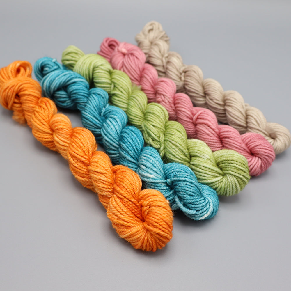 Pool Party Rejects Worsted Mini Set