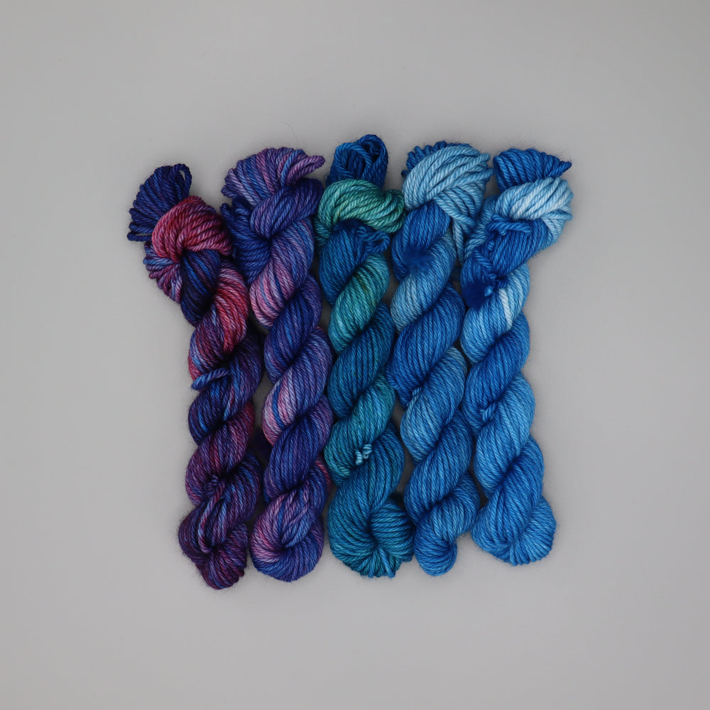 Reef Life Worsted Mini Set