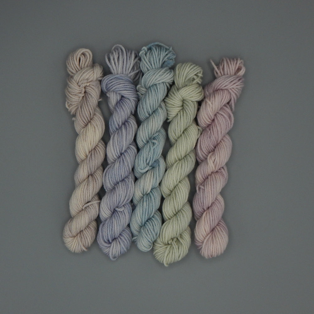 Winter Flowers Worsted Minis